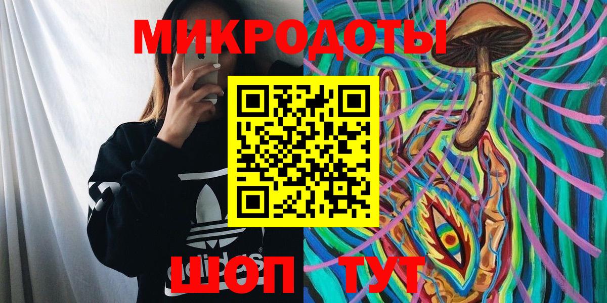 Псилоцибиновые грибы MAGIC MUSHROOMS  Вход с VPN  Камышлов 